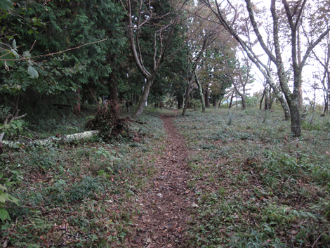 20181016hike (121)